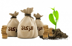 مطويات عن الزكاة