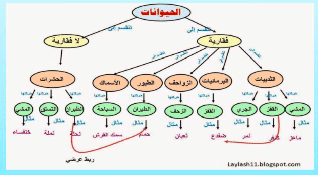 مطوية عن فصائل مجموعات الحيوانات الفقارية 4