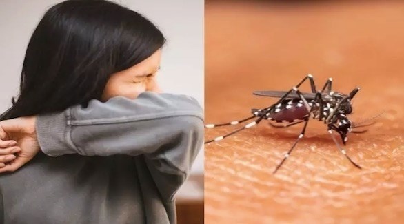 حمى الضنك وكورونا