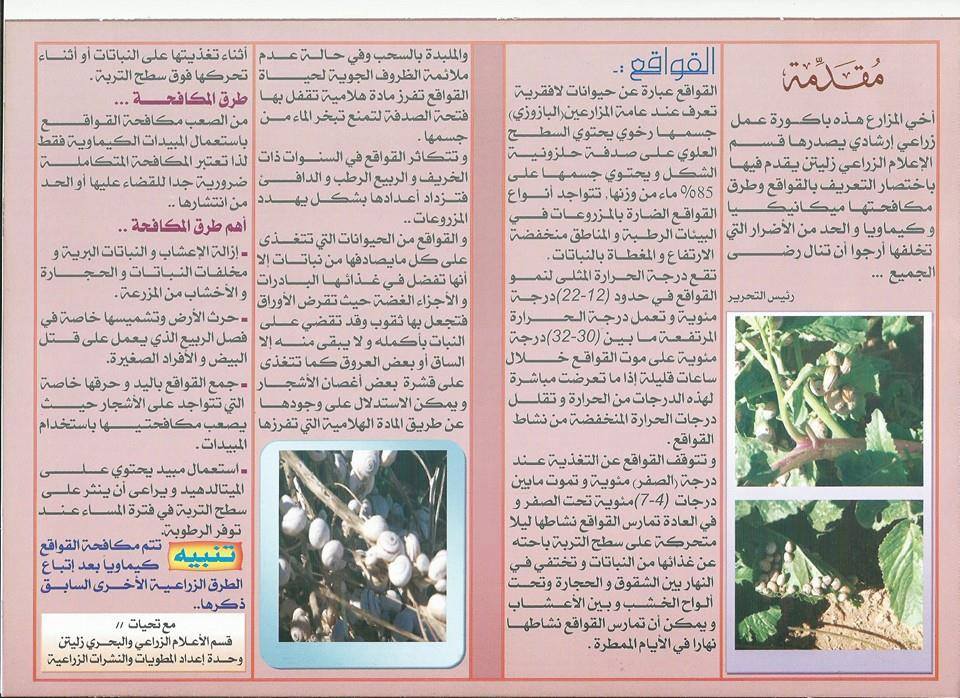 مطـويات عن الزراعه 12