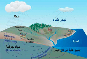مطويات عن دورة الماء