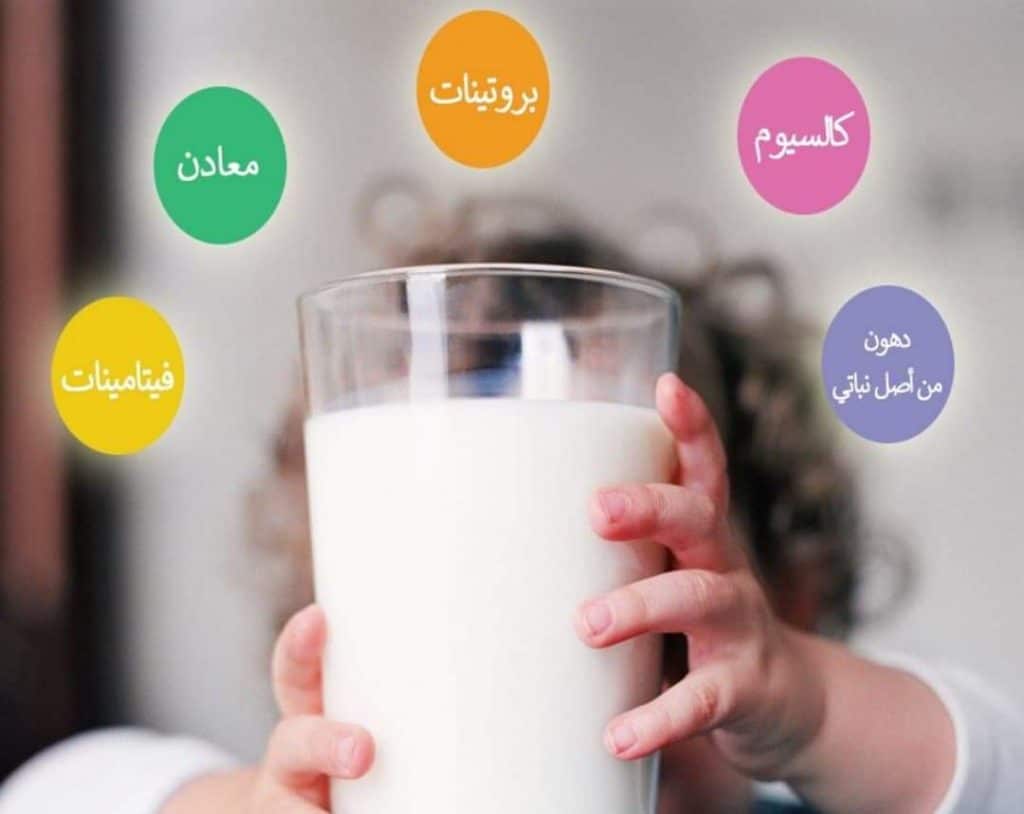 ماهي فوائد الحليب