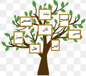 شجرة كان وأخواتها 2
