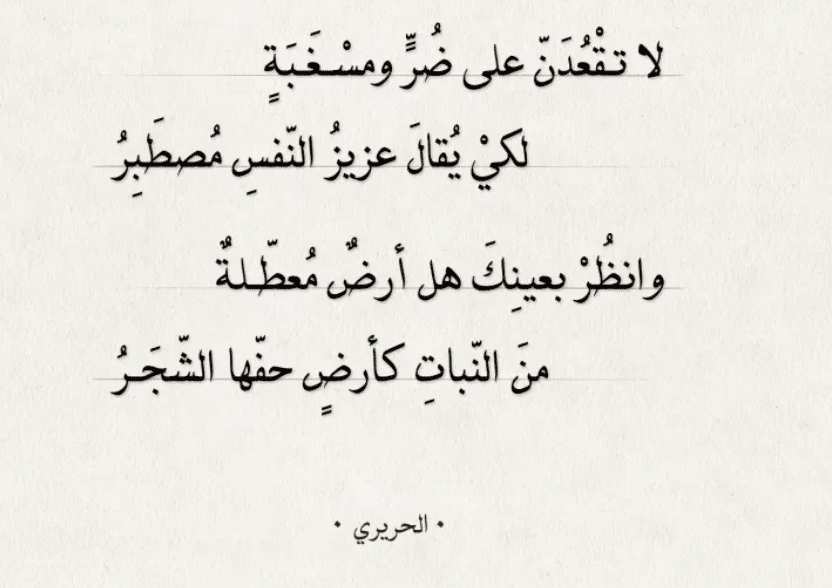 قصيدة عن الوطن مصر