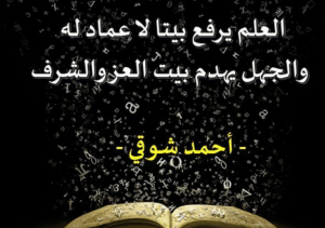 ابيات شعرية عن العلم