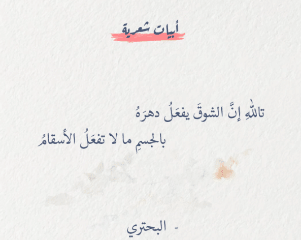 أبيات شعرية مشهورة