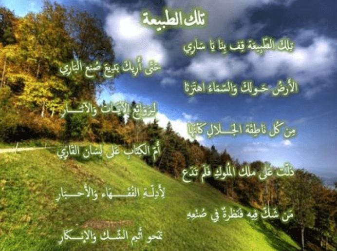 تأمل جمال الطبيعة