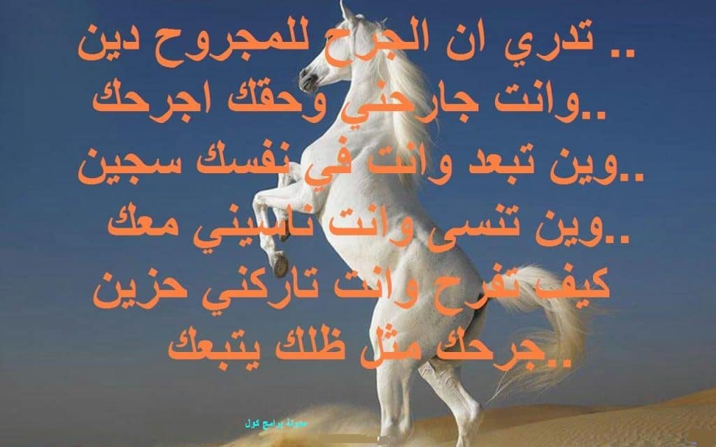 قصيدة عن رحيل الحبيب