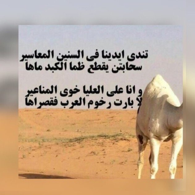 قصائد مدح يمنيه