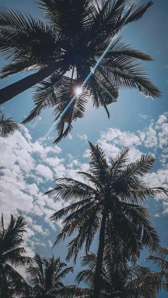 أروع الصور بروفايل فيس بوك  ١