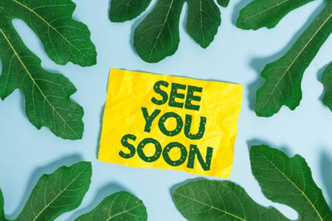 الرد على كلمة see you