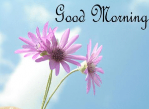 الرد على good morning