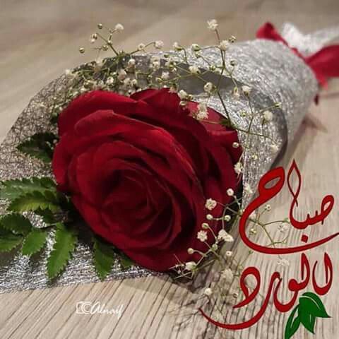 وردة حـب صباح الخير 3