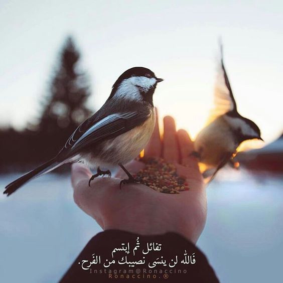 عبارات دينية للواتس بالصور بنات 2