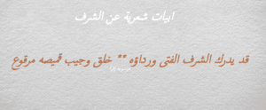 ابيات شعرية عن الشرف