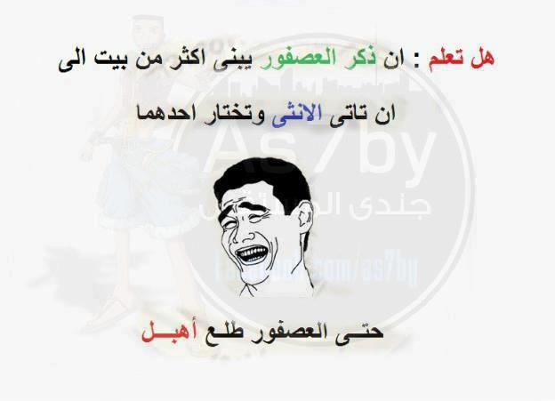 بوستات وصور مضحكة3