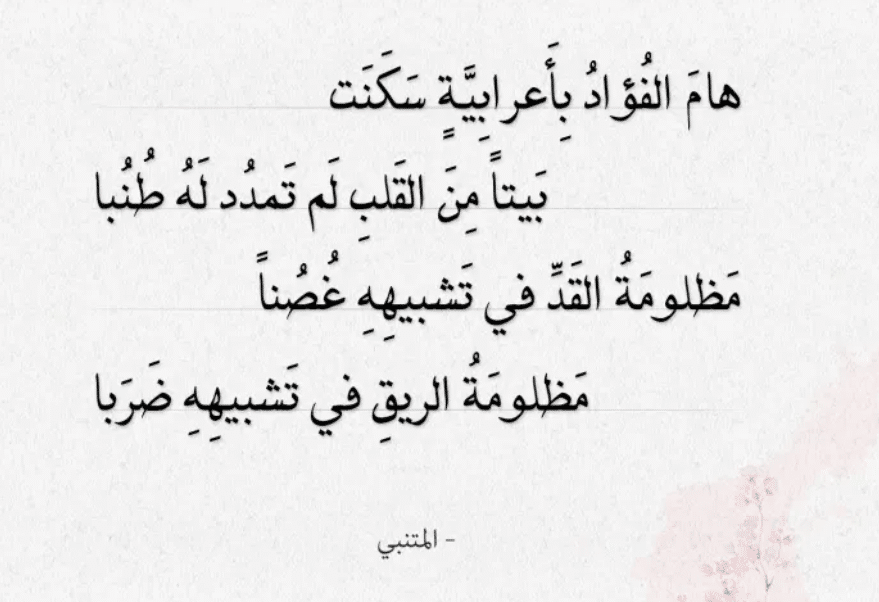 أبيات المتنبي الصعبة