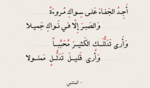 أبيات شعرية مشهورة