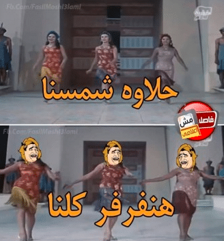 بوستات عن فصل الصيف 5