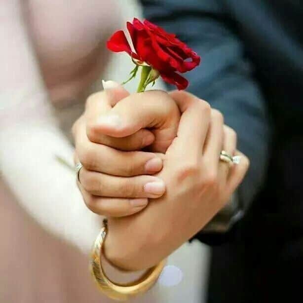اجمل الورود الرومانسية 5