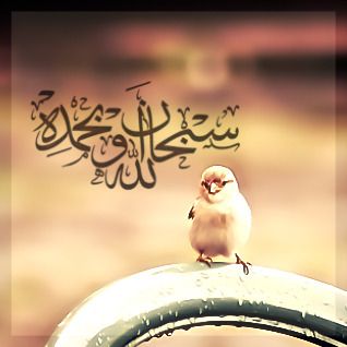 خلفيات واتس اب اسلامية جديدة 6