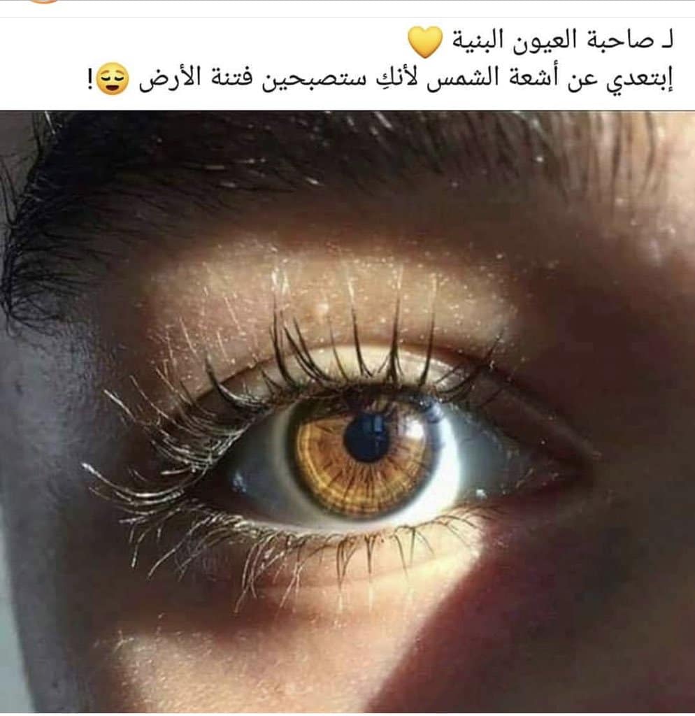 كلمات عن العيون البنية في الشمس