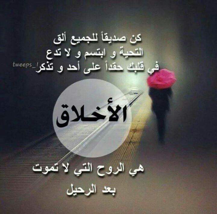 كلمات لها معنى جميل مع الصور 1