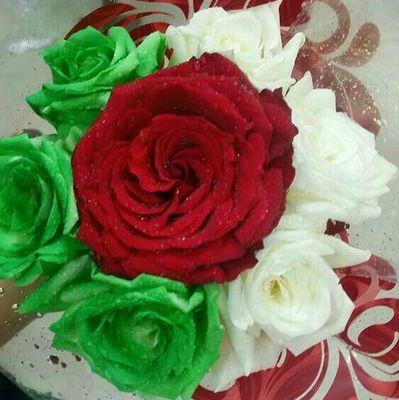 اجمل ورود في العالم 5