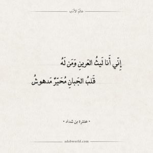 قصائد مدح تويتر