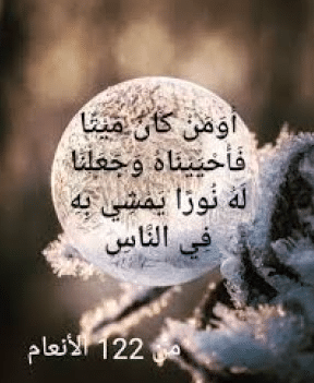 فوائد الآية أومن كان مَيْتًا فأحييناه