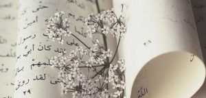 قصائد مدح جاهليه