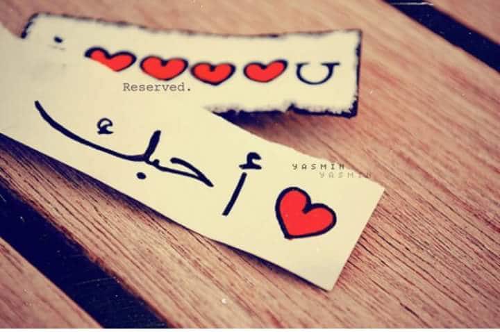 بروفايل روعة  ٤
