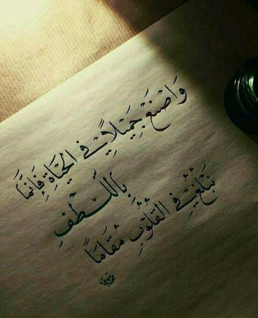 بالصور كـلام من ذهب 6