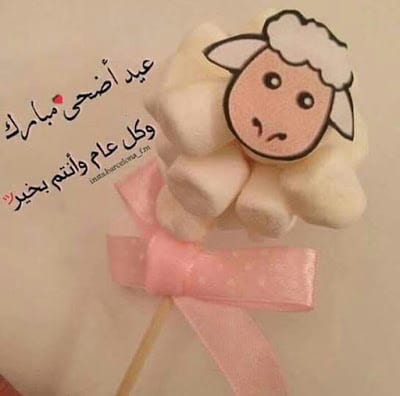 أجمل كلام عن عيد الأضحى للاصدقاء