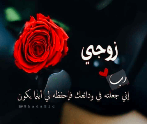عبارات جميلة بين الزوجين