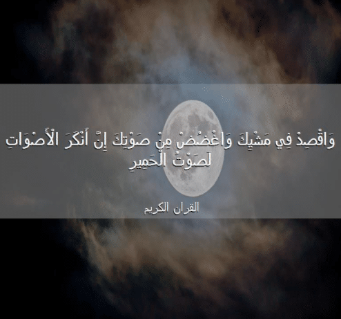 ما معنى اقْصِدْ في مشيك