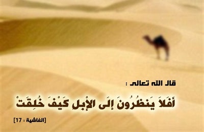 عبارات عن عظمة الله