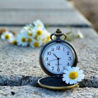 بروفايل روعة ٢