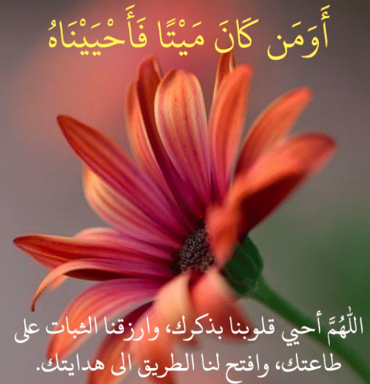 خواص أومن كان ميتا فأحييناه