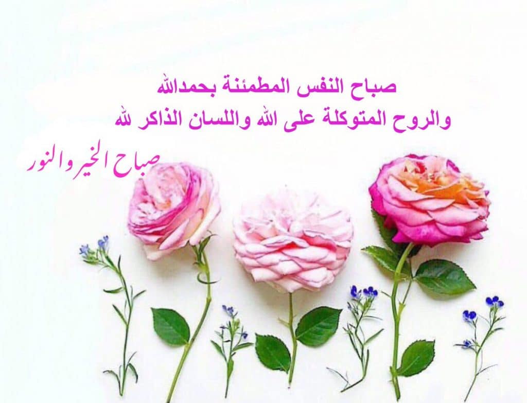 الا بذكر الله تطمئن القلوب صباح الخير