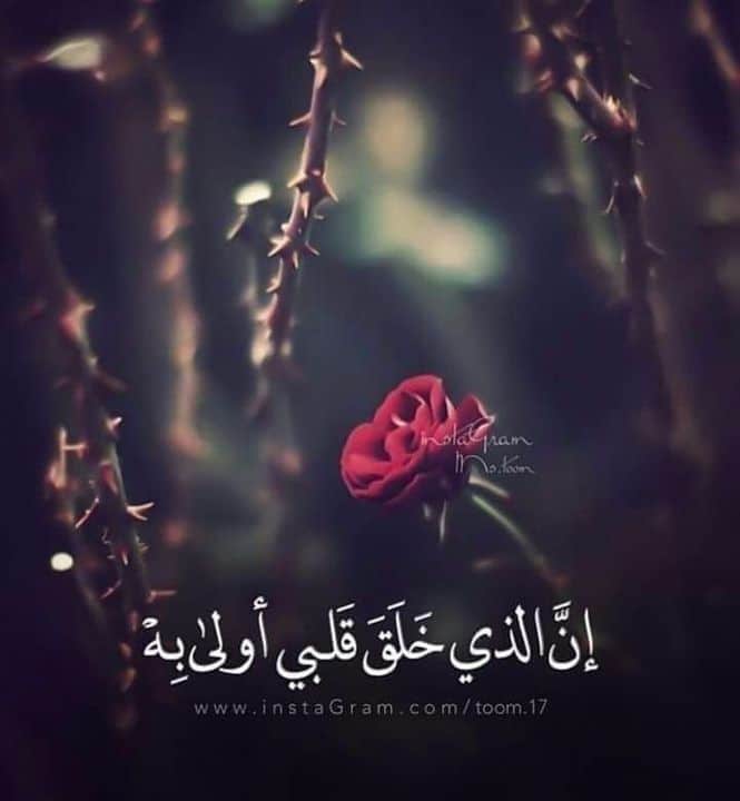 عبارات اطمئنان من الله