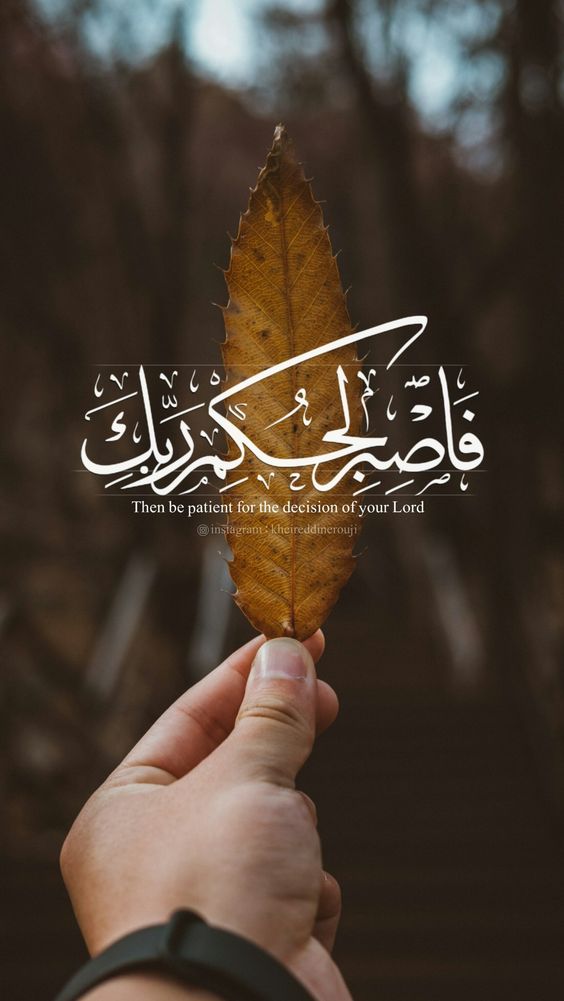 صور بروفايل ٣