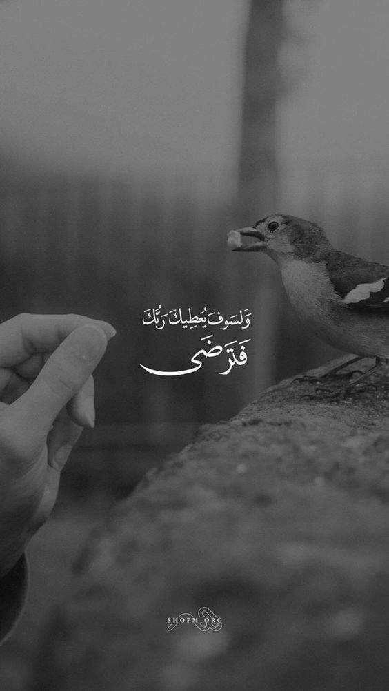 صور بروفايل١