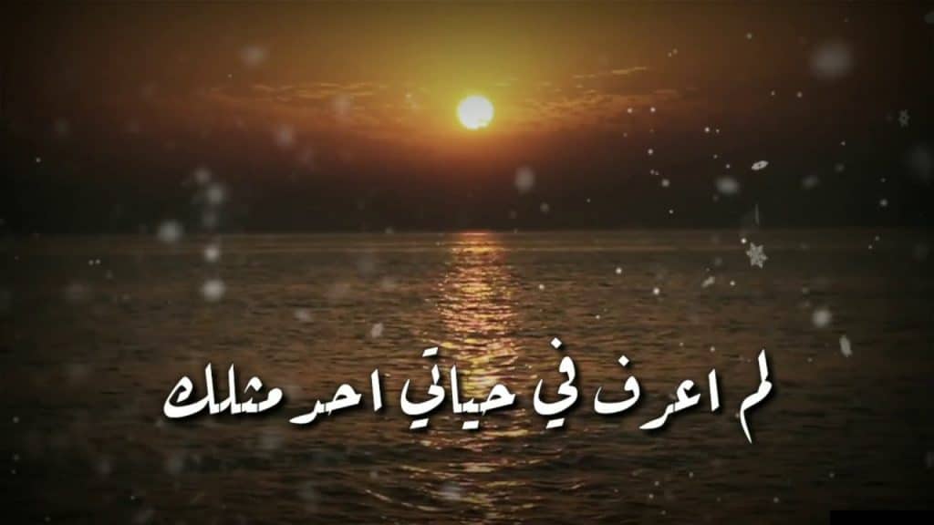 وصف شخص غالي تويتر