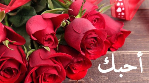 وردة حـب 3