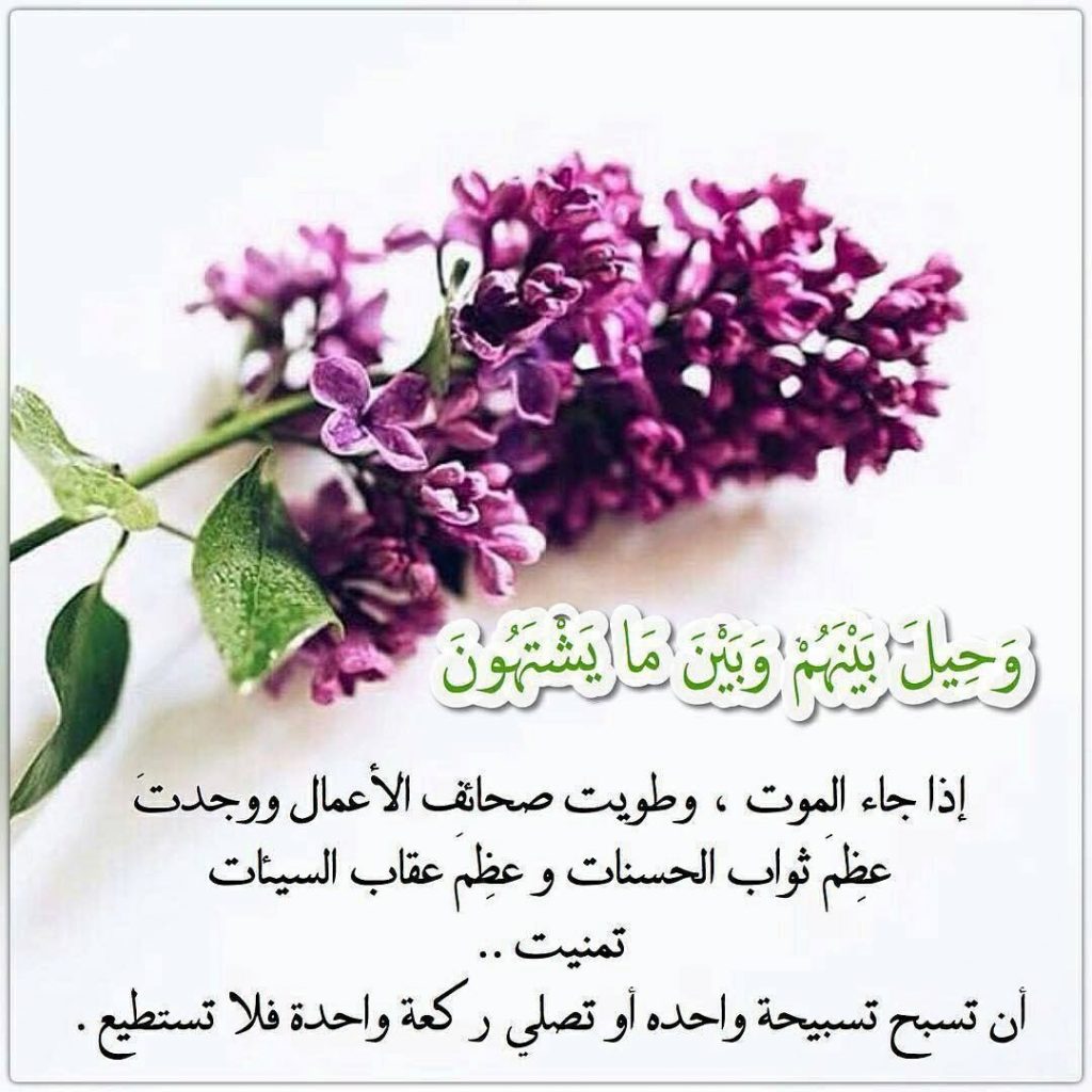 وحيل بينهم وبين مايشتهون