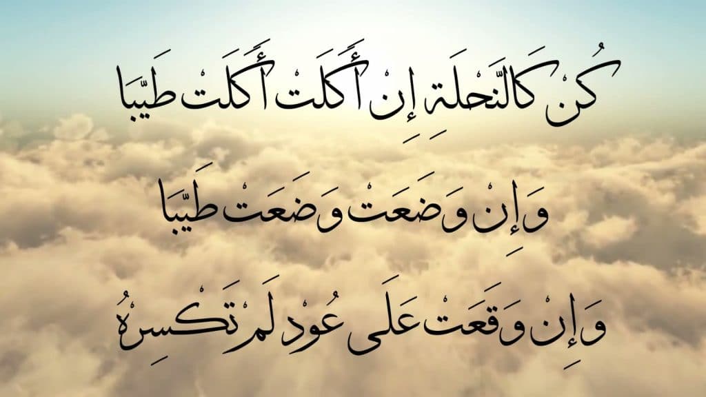 عبارات سعيدة قصيرة
