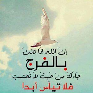 عبارات هادفة