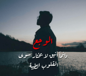 عبارات ضيم