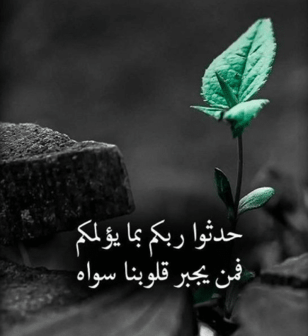 عبارات ظهريه